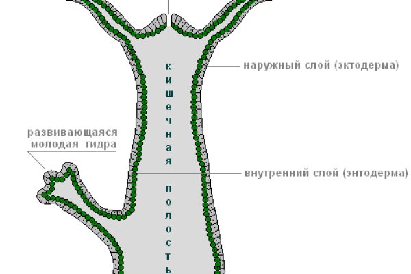 Кракен маркетплейс ссылка krakenat2krnkrnk com