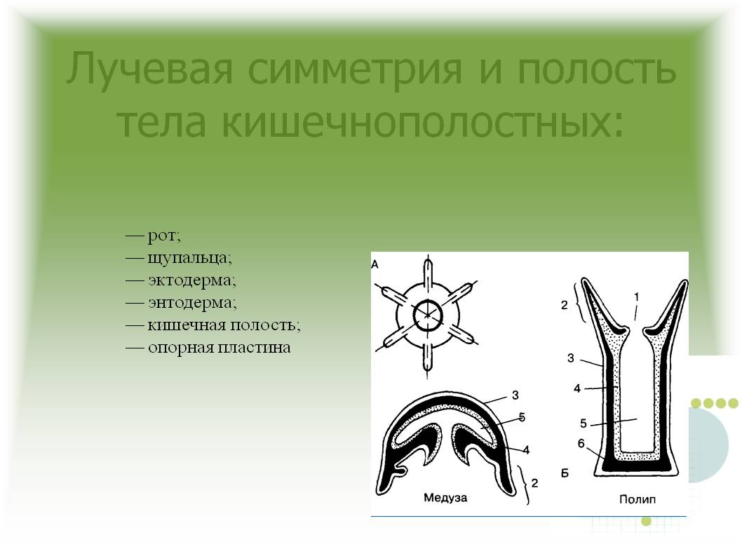 Kraken зеркала маркетплейс